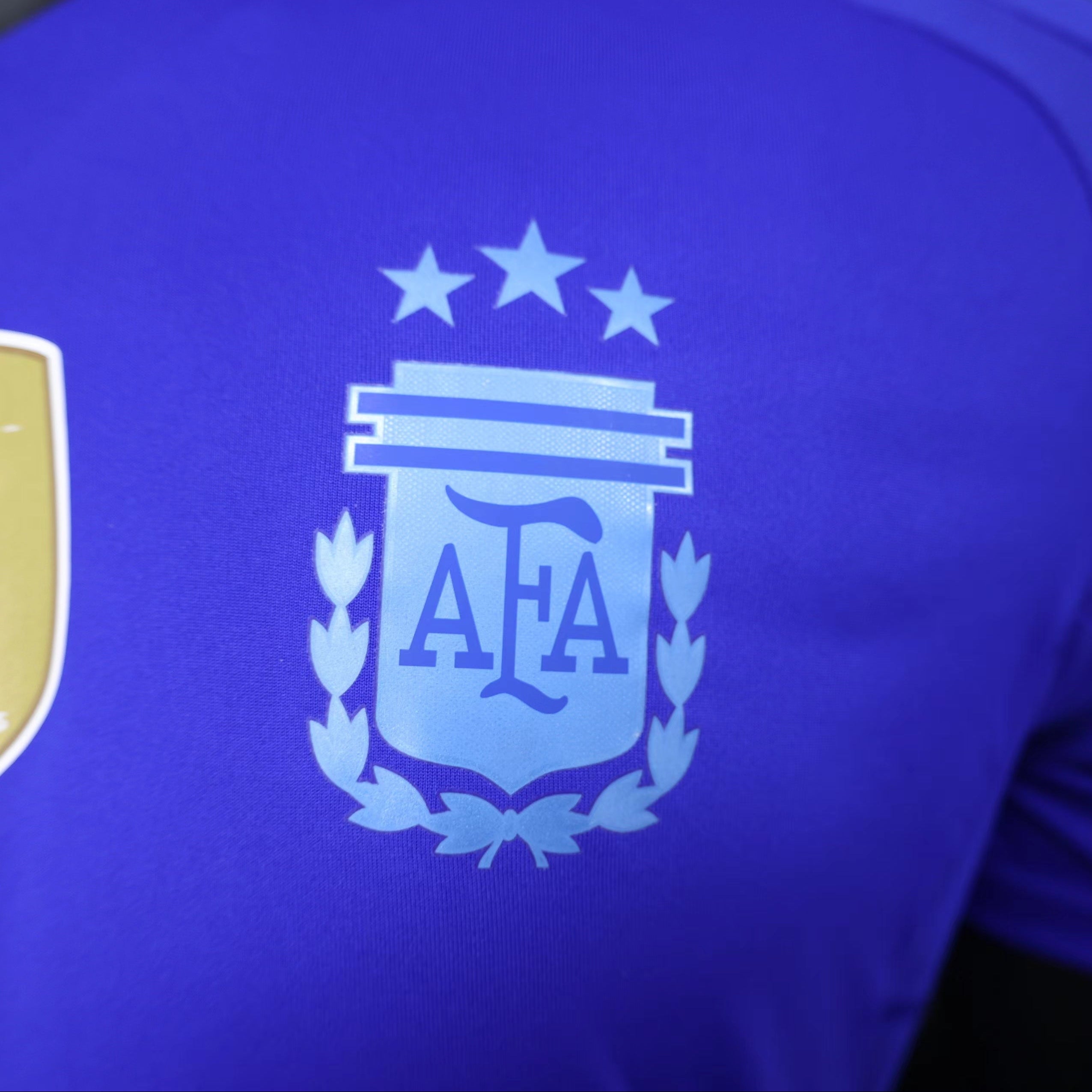 Argentina 2024 Away Player Version