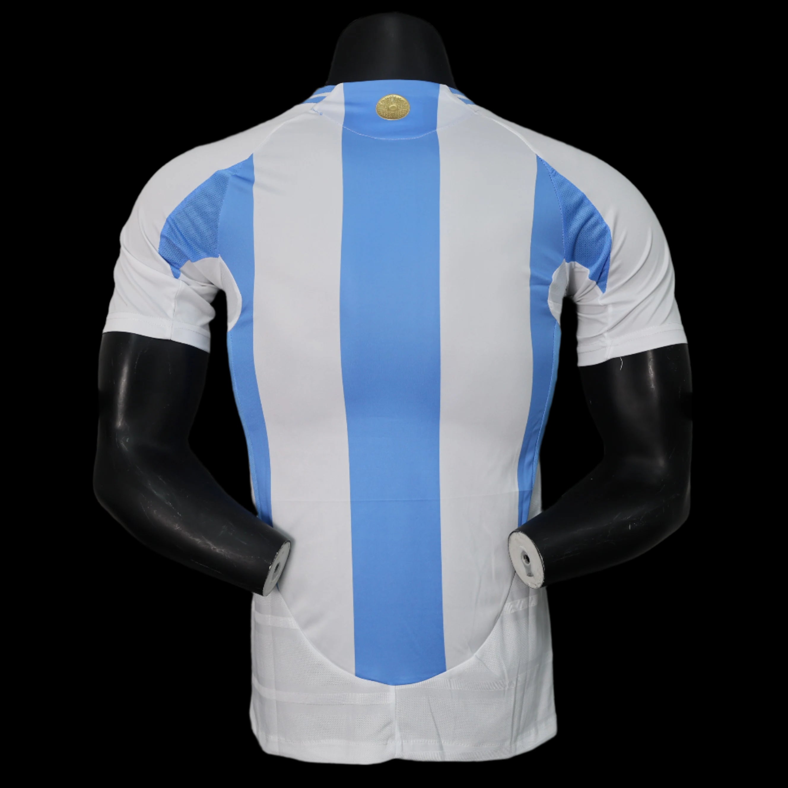 Argentina 2024 Home Player Version