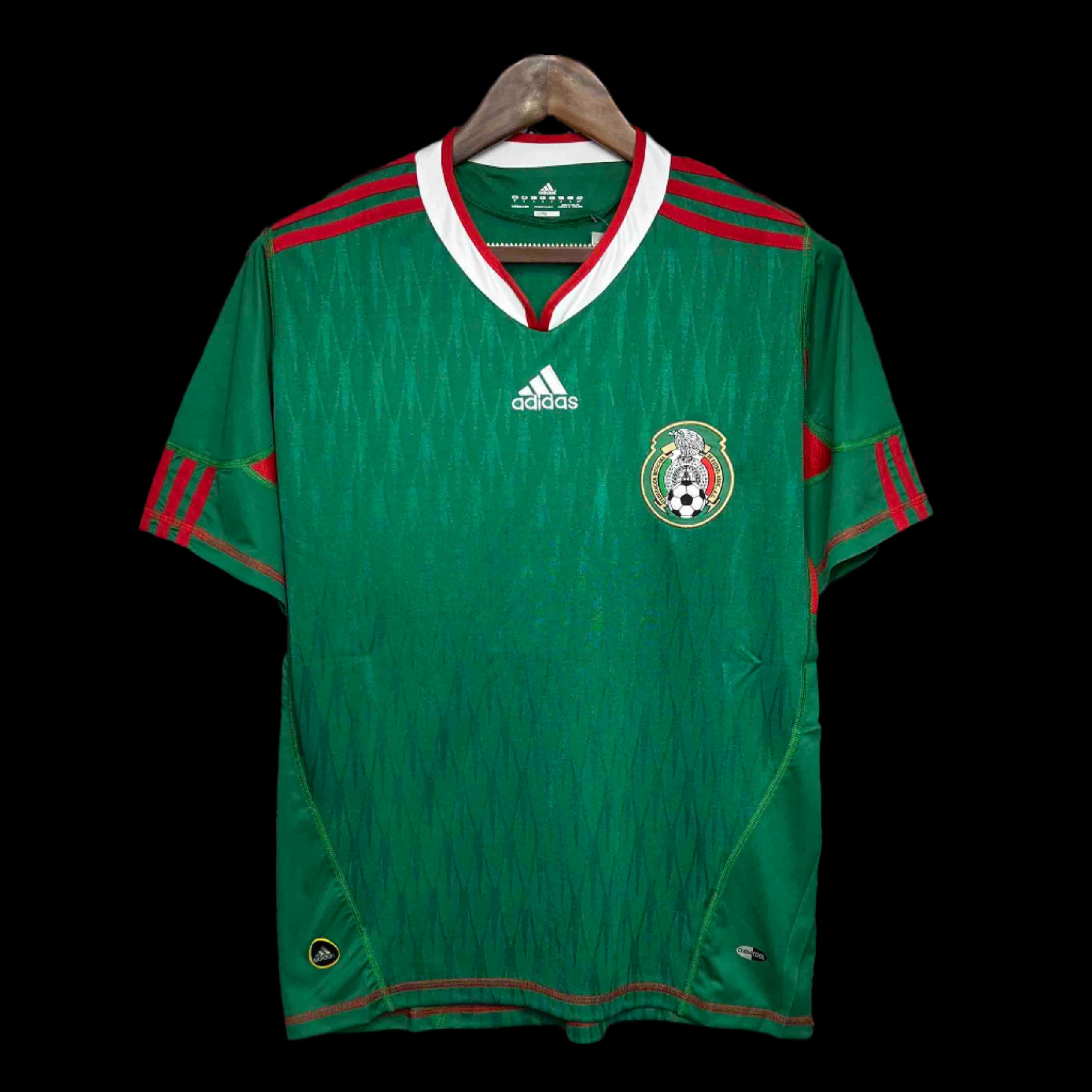 Mexico 2010 Home