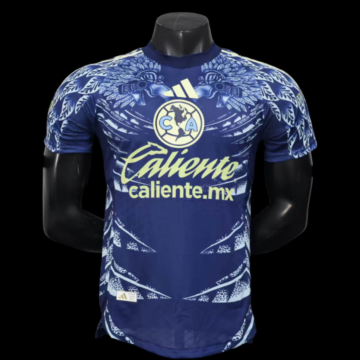 PSG 24/25 Domicile