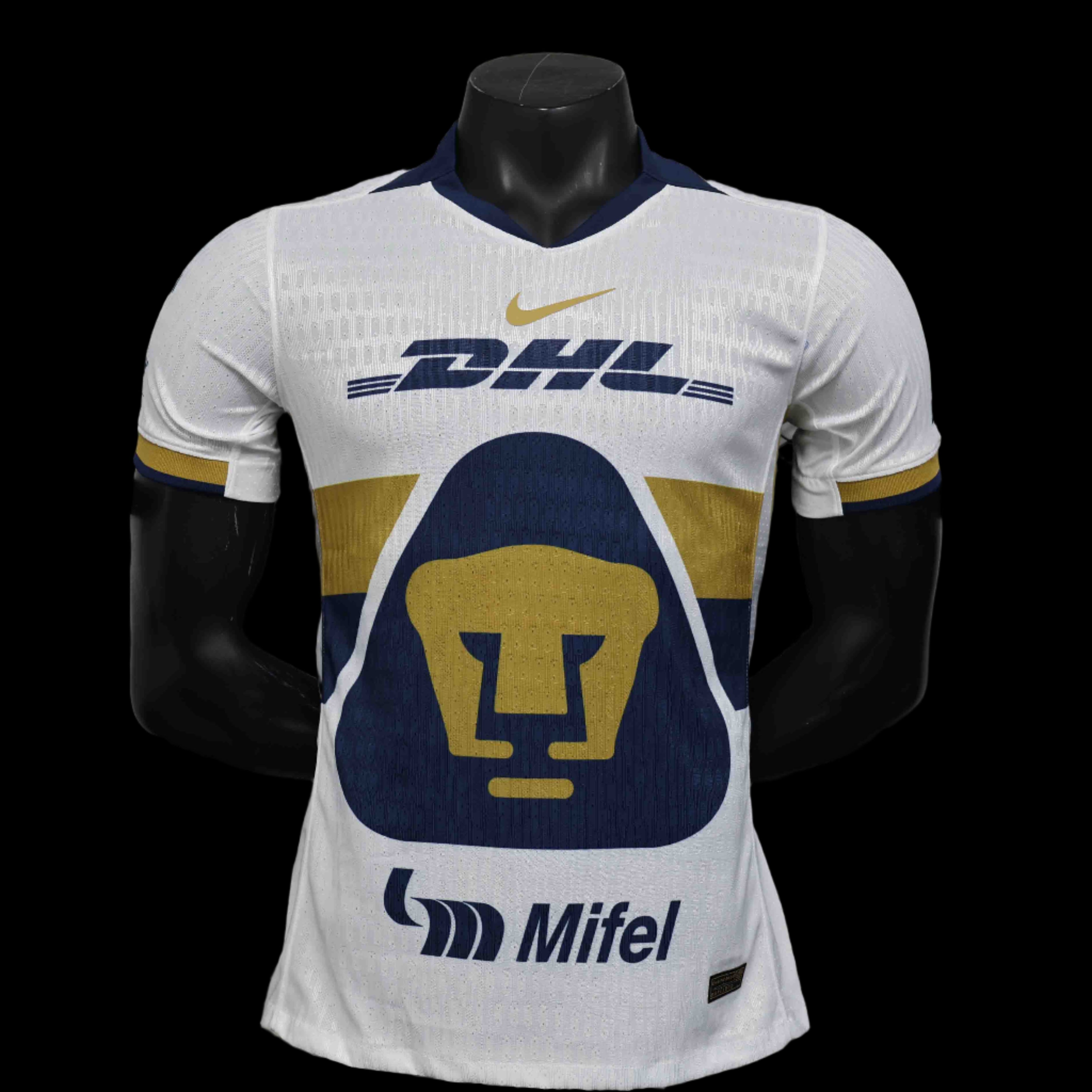 PSG 24/25 Domicile