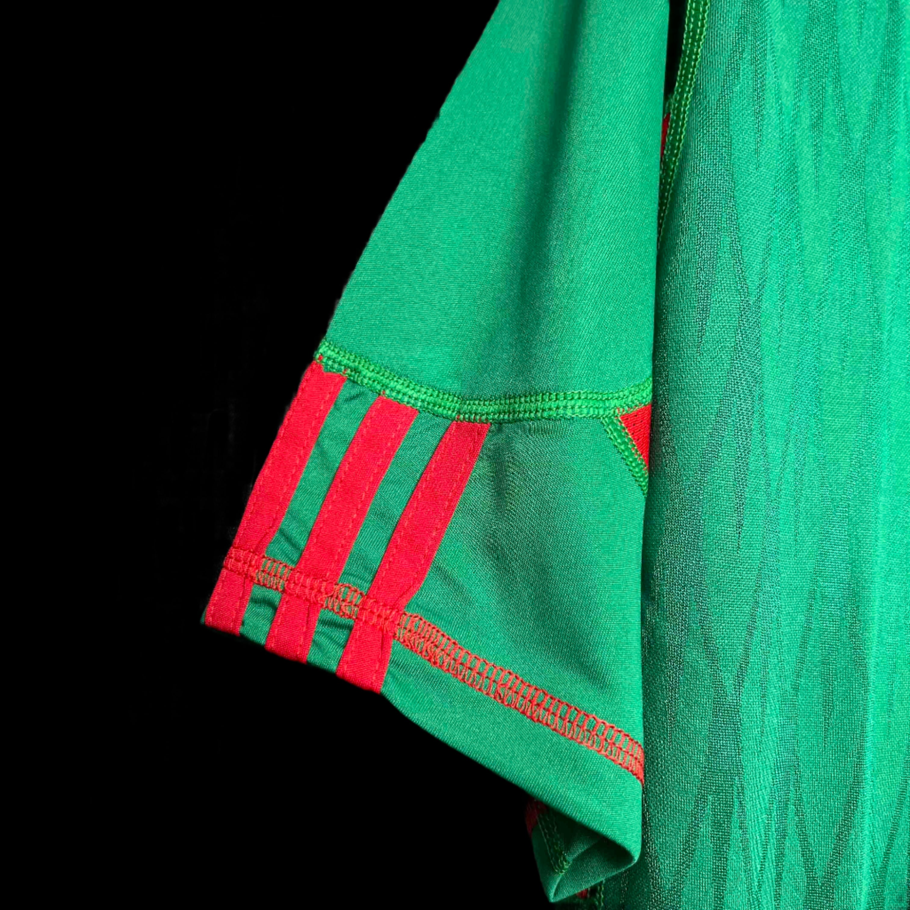 Mexico 2010 Home