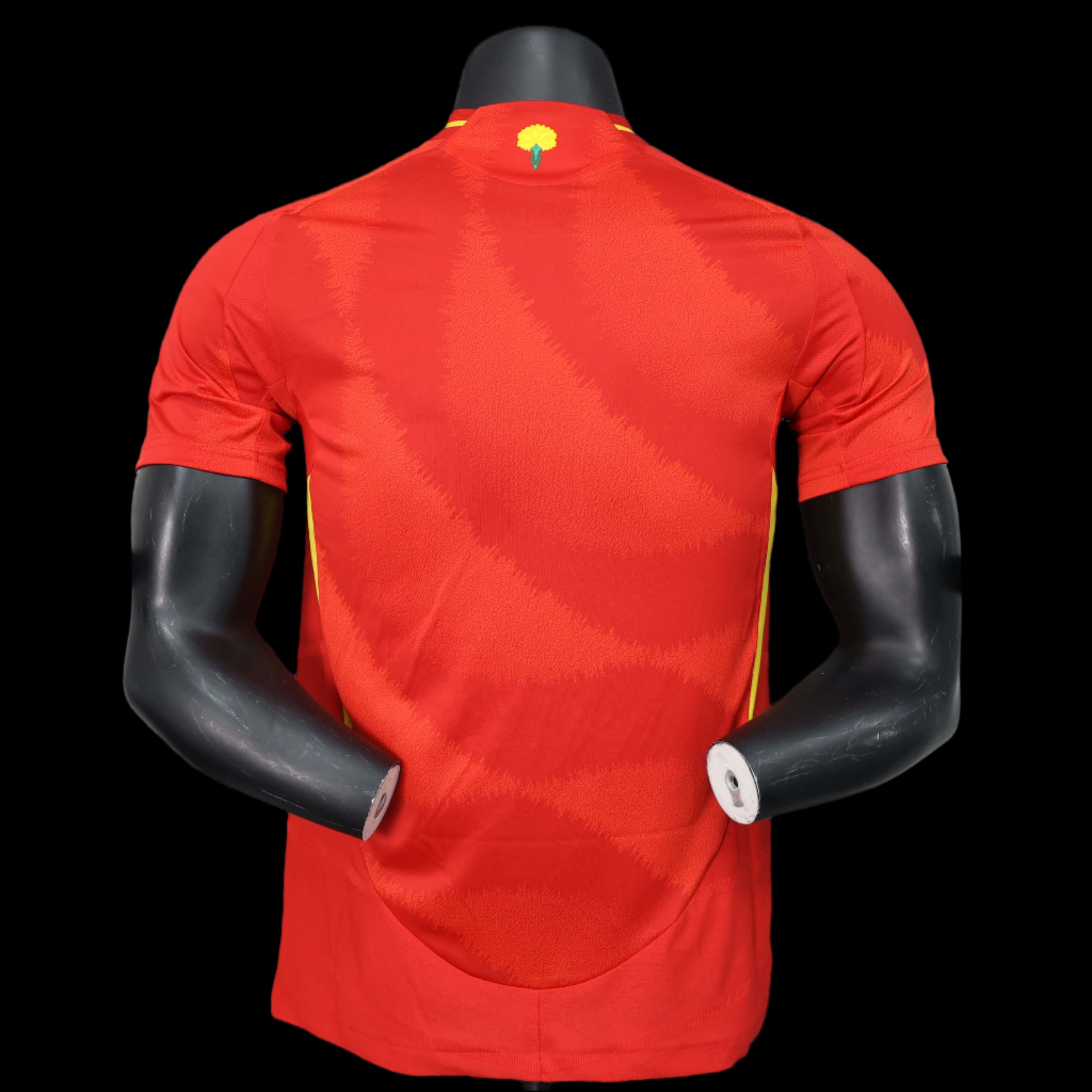 Version Joueur Domicile Espagne 2024