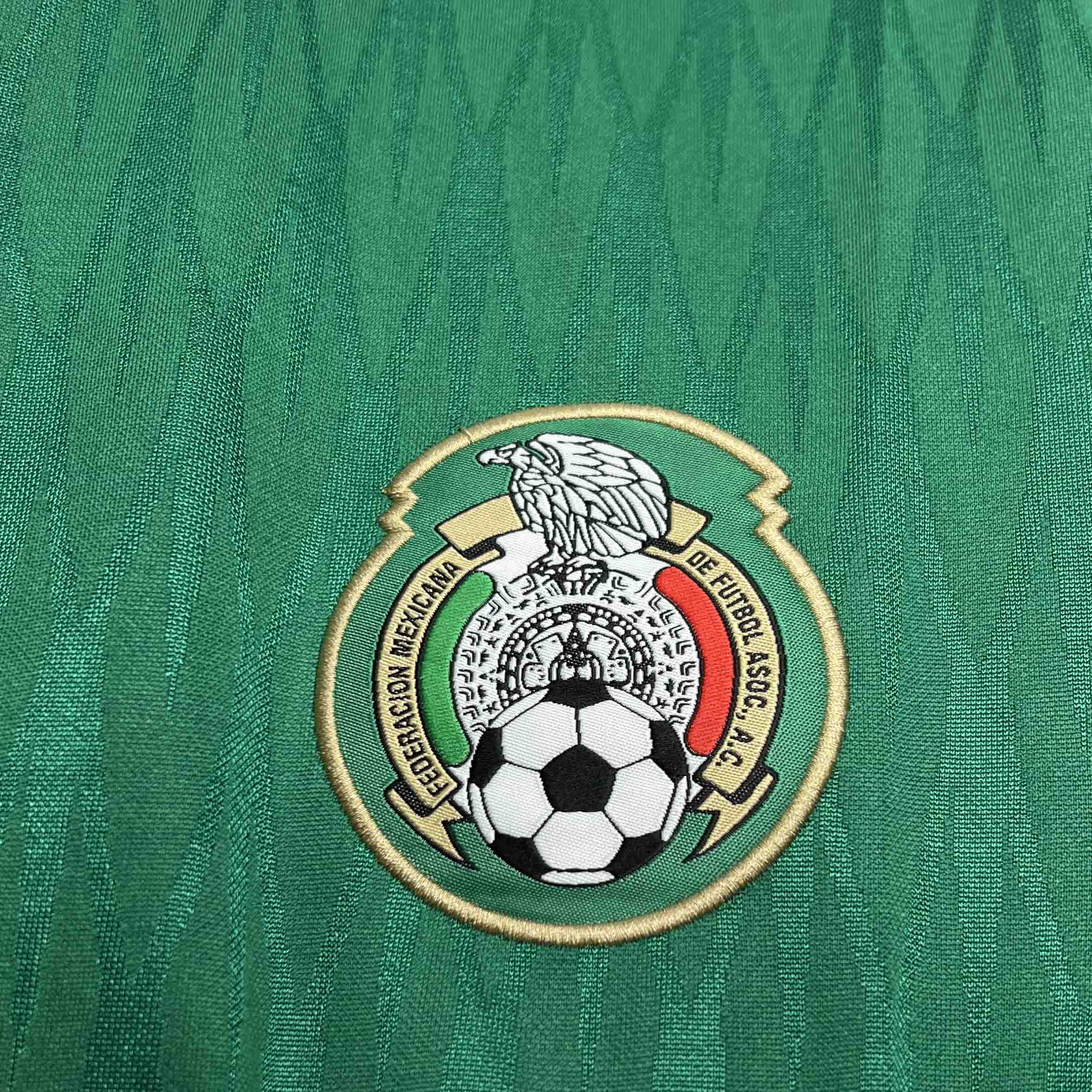 Mexico 2010 Home